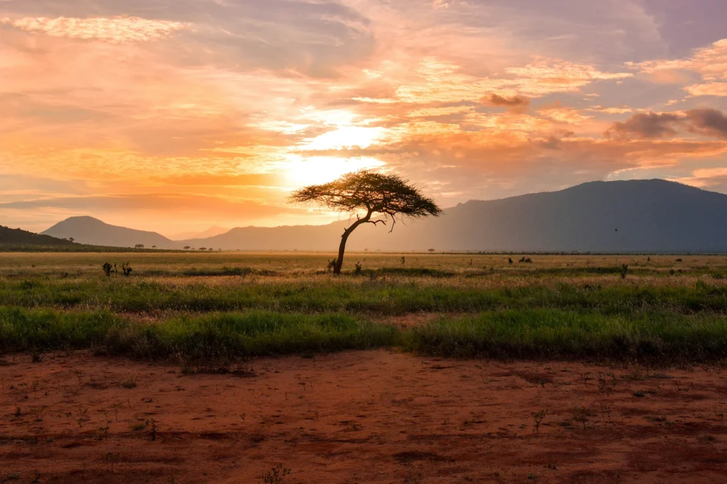 Retreat_Zuid-Afrika