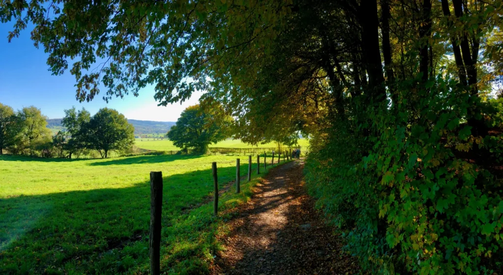 Retreats_Vitalify
